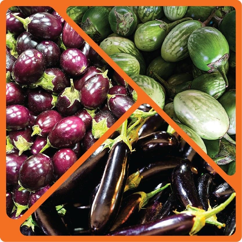 Fresh brinjal (eggplant)