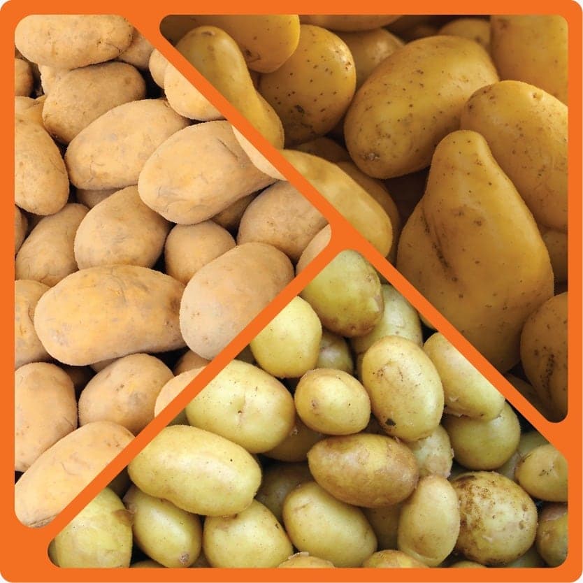 Fresh potatoes