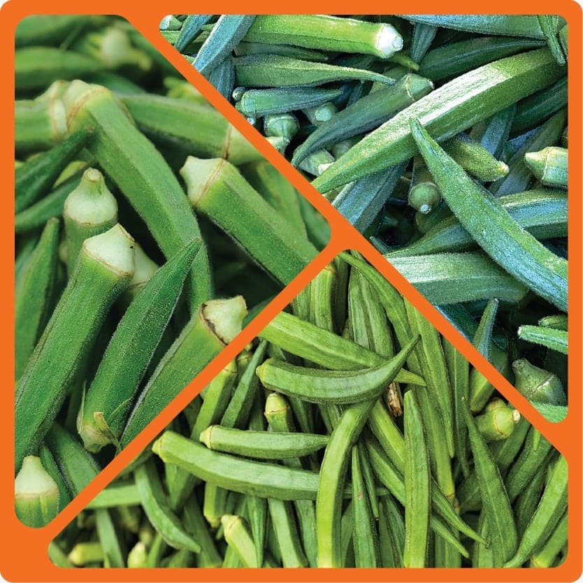 Fresh okra pods